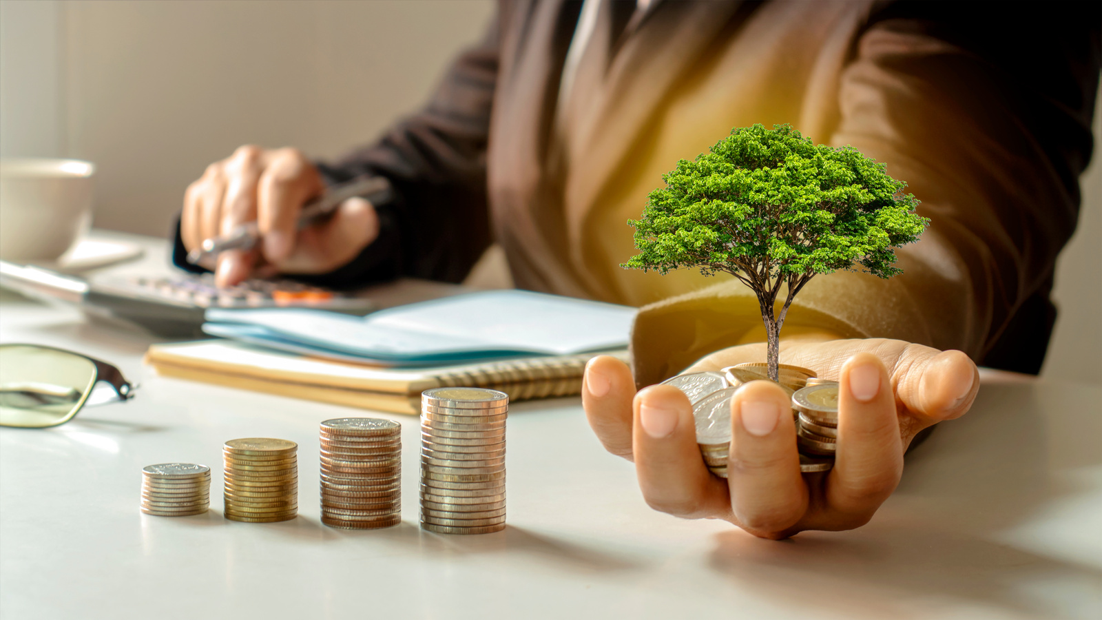  Growing Tree in the Hands of a Businessman